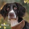 MUNECA
