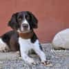 MUNECA
