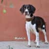 MUNECA