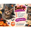 Bailey