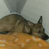 Miky