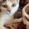 Holly sucht ihren Jackpot