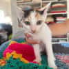Holly sucht ihren Jackpot