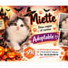 MIETTE (Réservé)