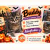 Brandy /Buddy (Réservée)