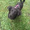 Hundekind sucht Bestplatz