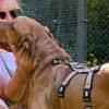 Menschenbezogener Ricky sucht Zuhause