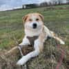 Besonderer Lucky sucht seine Familie