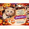 WINDU (doudou)
