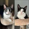 FLASH & FILOU