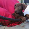 RUSTY