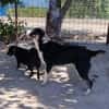 Finja mit dem -Wackelpo-