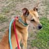 Julia - immer ein Grinsen im Gesicht