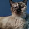 FOUILLE