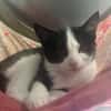 GARANCE