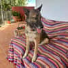 TOM (laura)