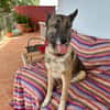 TOM (laura)