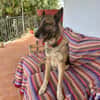 TOM (laura)