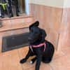 SOMBRA (Martina)