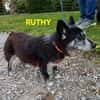 die verschmuste Ruthy sucht liebevolles Zuhause
