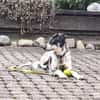 Aurora - Hundekind möchte schlimmen Start verarbeiten