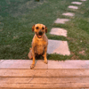 Aïka la miraculée