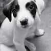BILLY