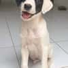 BILLY
