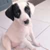 BILLY