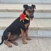 LOLA (Martina)