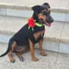 LOLA (Martina)