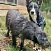 Salome sucht ihre Familie ❤