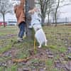 Lou sucht ihre Familie ♥