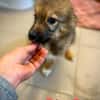 Isidor  ein kleiner Bub, der die Welt noch vor sich hat