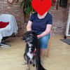 🐾Lebensfrohe Kira sucht Dich🐾 NOTFALL