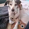Tilda - liebenswerte Seniorin