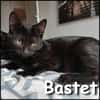Bastet