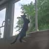 Bazooka