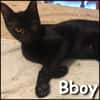 Bboy