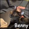 Benny