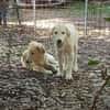 Marley e Desy