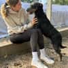 Merlin (Mendel) -Junger Hundebub sucht ein tolles Zuhause