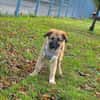 Cash sucht seine Familie