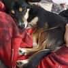 Süße Keisy🌺 sucht liebevolles Zuhause