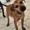 Kleine Entdeckerin Molly