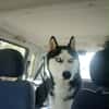 Argo