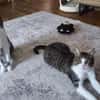 Die Brüder Tito und Toto Fiv+, unser DreamTeam