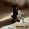 KROKMOU