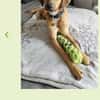 Maria (Nala) möchte endlich ankommen