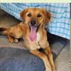 Maria (Nala) möchte endlich ankommen